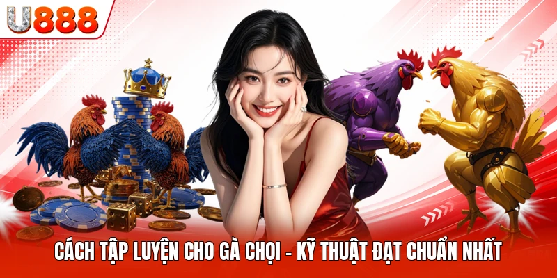 Cách Tập Luyện Cho Gà Chọi