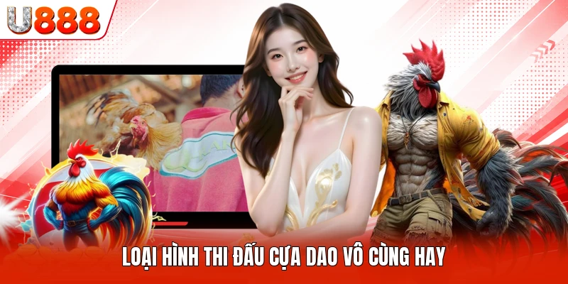 Loại hình thi đấu cựa dao vô cùng hay