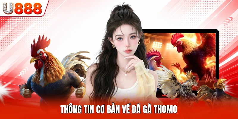 Thông tin cơ bản về đá gà Thomo